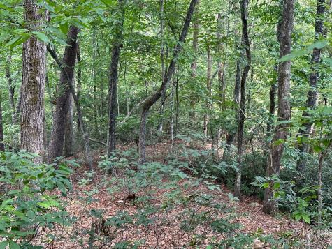 0000 Justice Drive Lake Lure NC 28746
