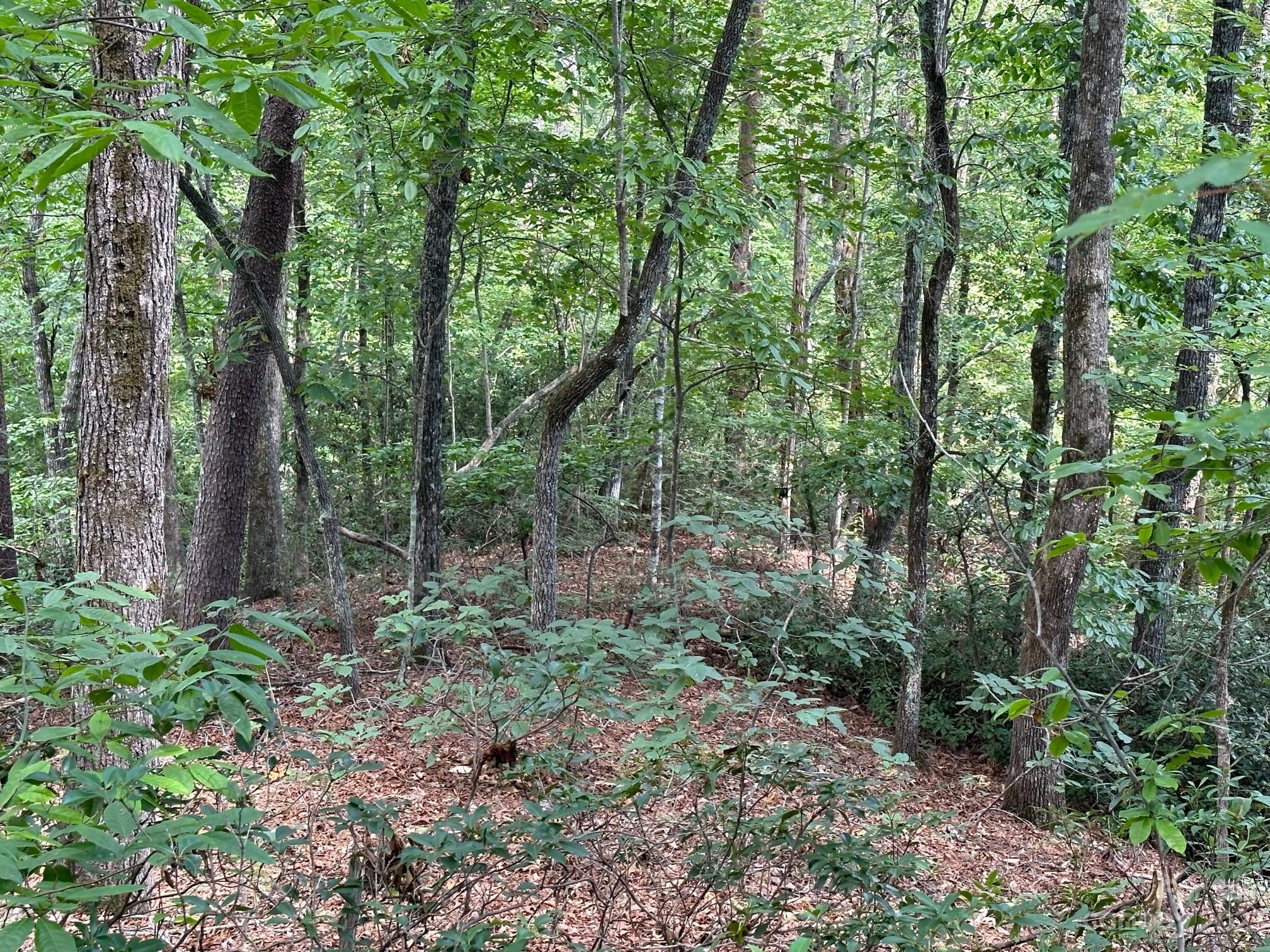 0000 Justice Drive Lake Lure NC 28746