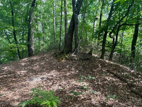 0000 Justice Drive Lake Lure NC 28746