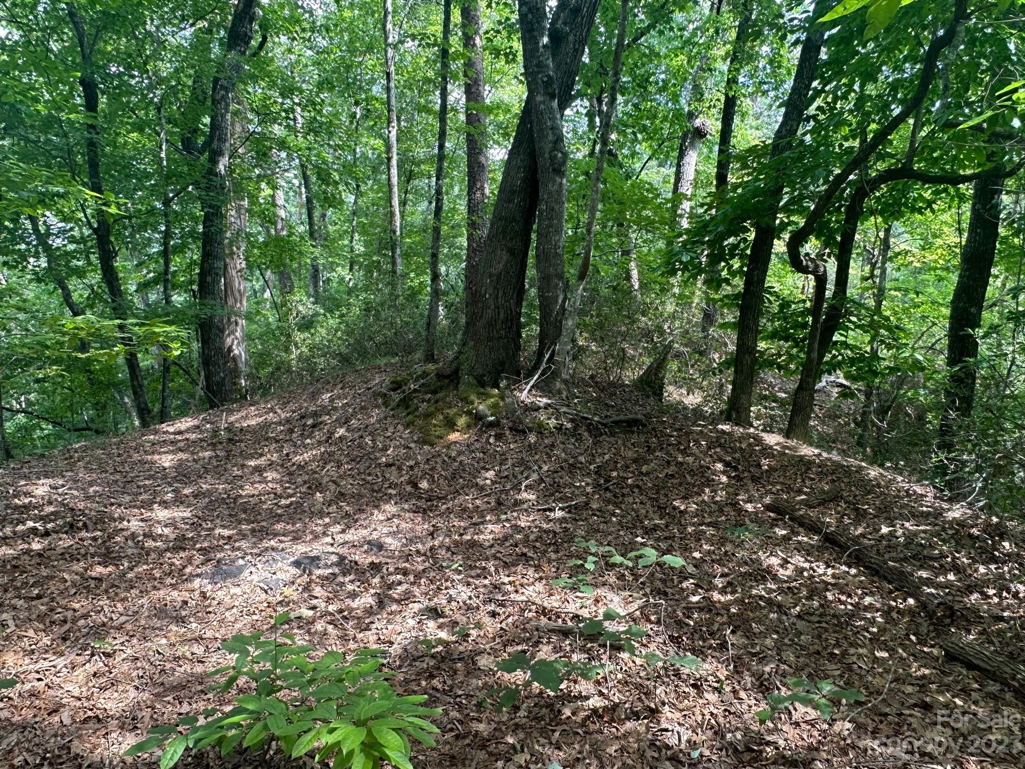 0000 Justice Drive Lake Lure NC 28746