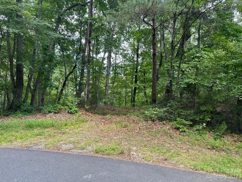 0000 Justice Drive Lake Lure NC 28746