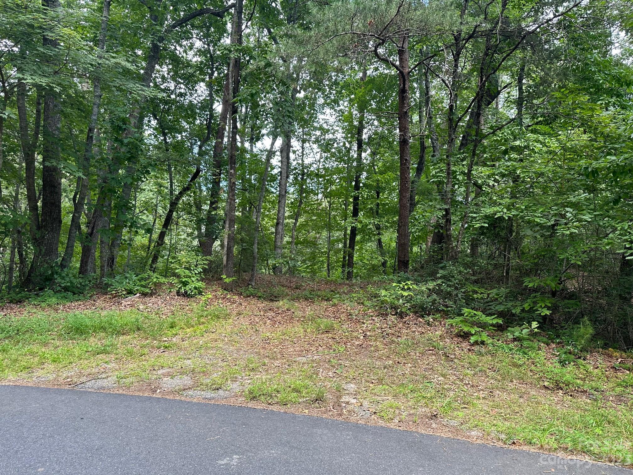 0000 Justice Drive Lake Lure NC 28746