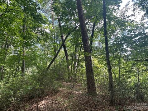 0000 Justice Drive Lake Lure NC 28746