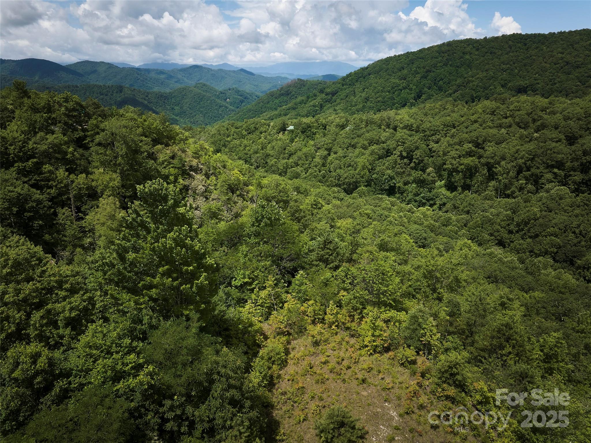 Lot 24 Piedmont Way Bryson City NC 28713