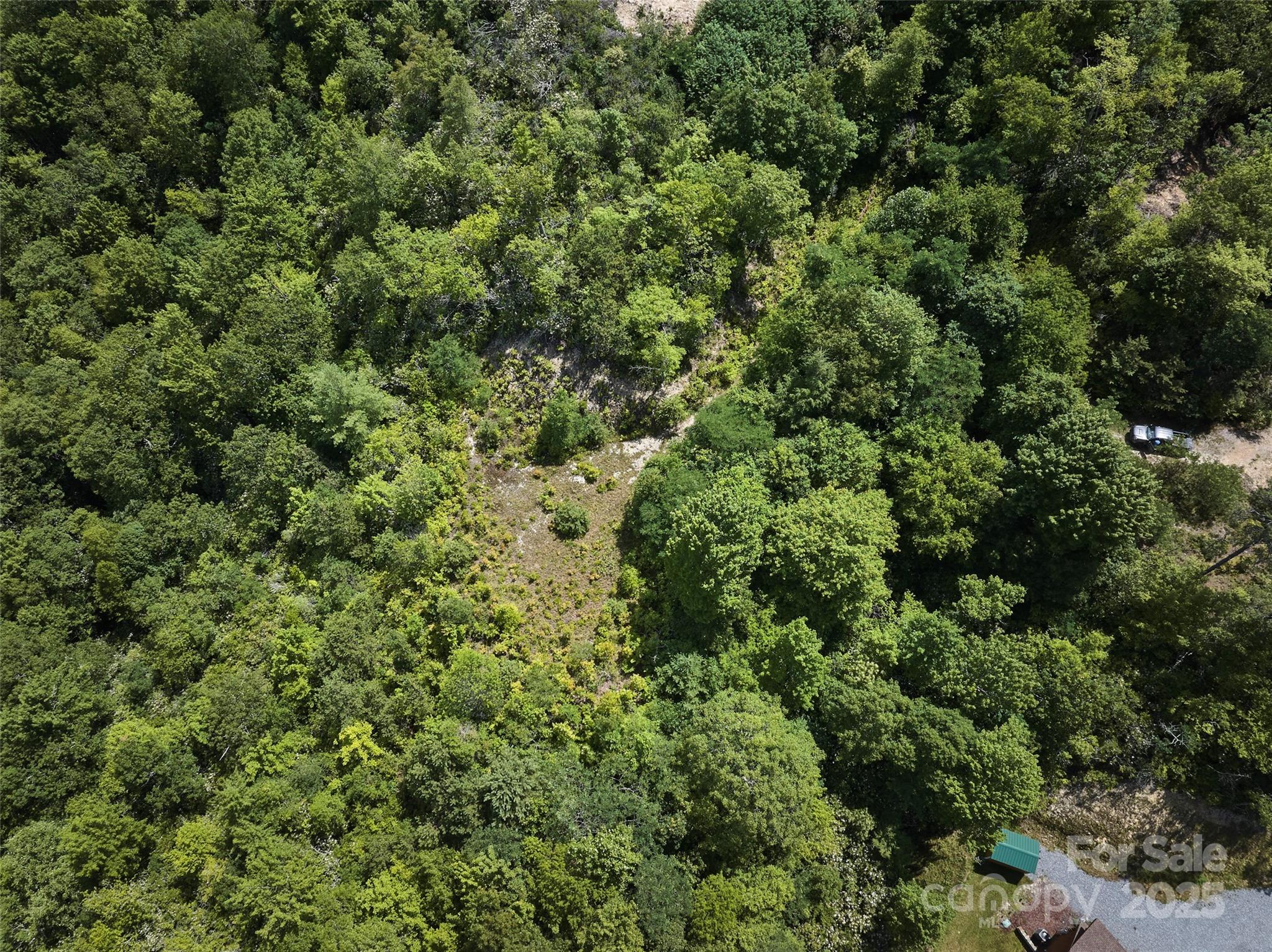 Lot 24 Piedmont Way Bryson City NC 28713