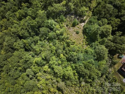 Lot 24 Piedmont Way Bryson City NC 28713