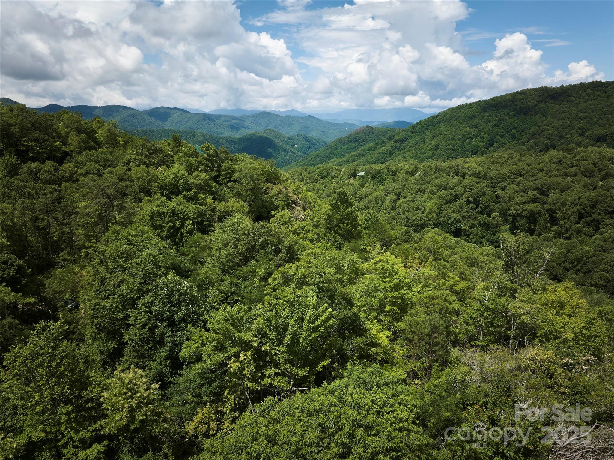 Lot 24 Piedmont Way Bryson City NC 28713