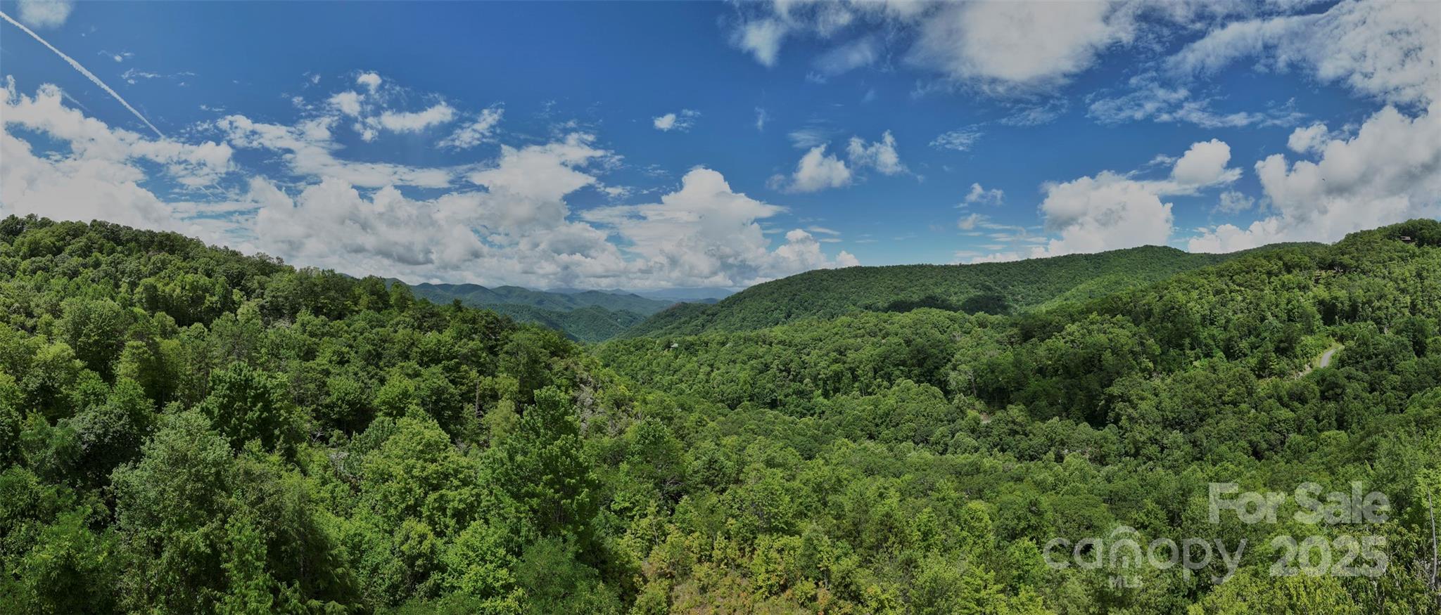 Lot 24 Piedmont Way Bryson City NC 28713