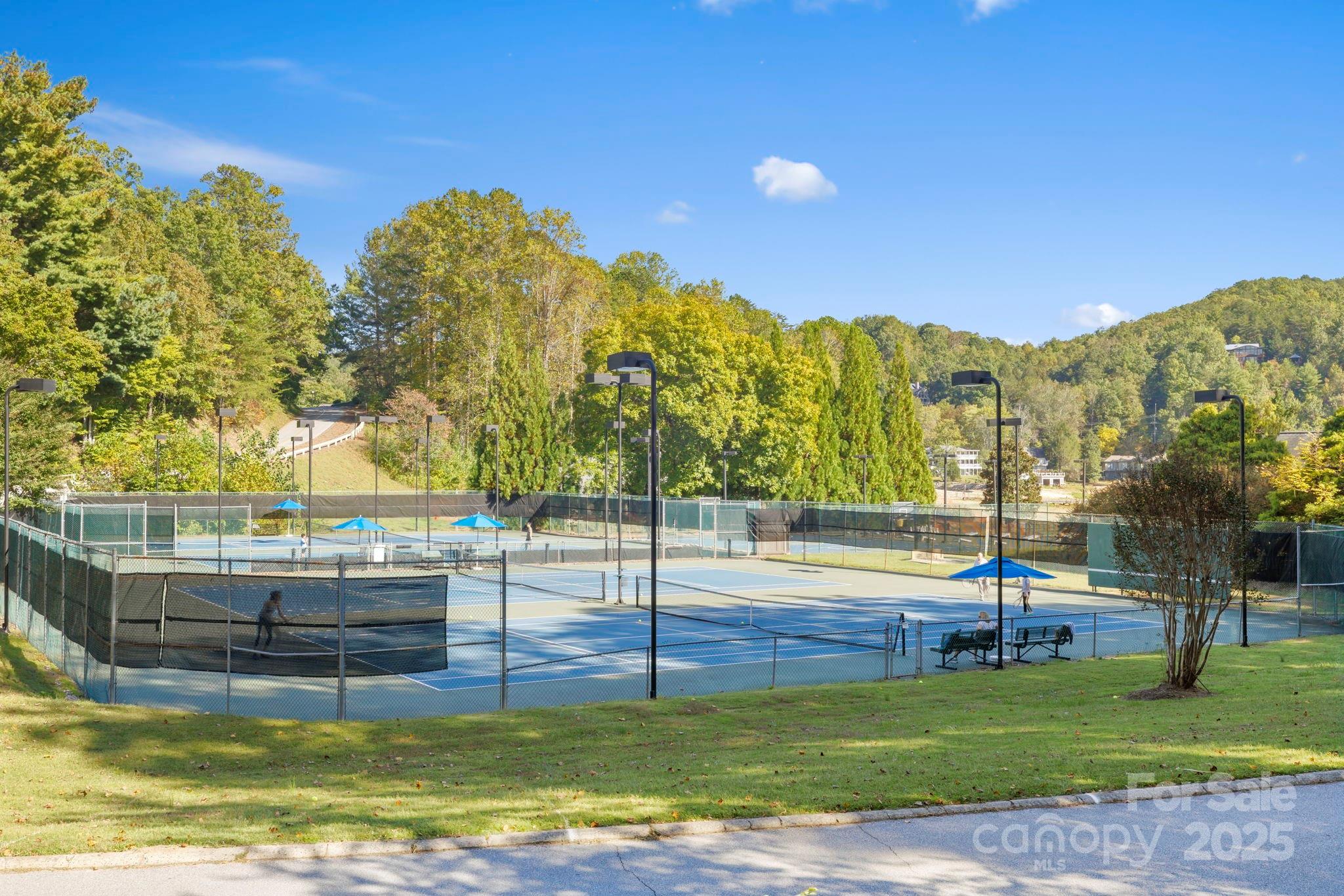 Lot 42 Palmer Place Lake Lure NC 28746