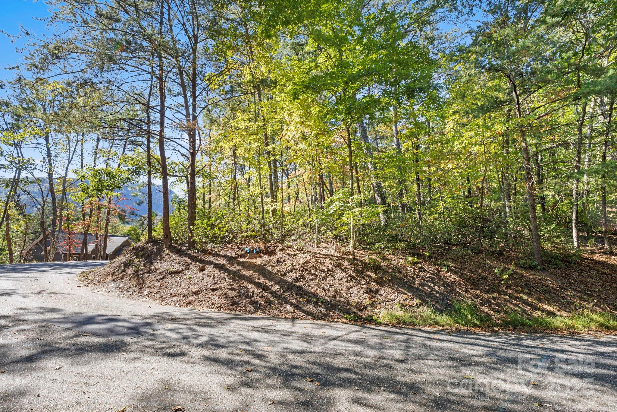 Lot 42 Palmer Place Lake Lure NC 28746