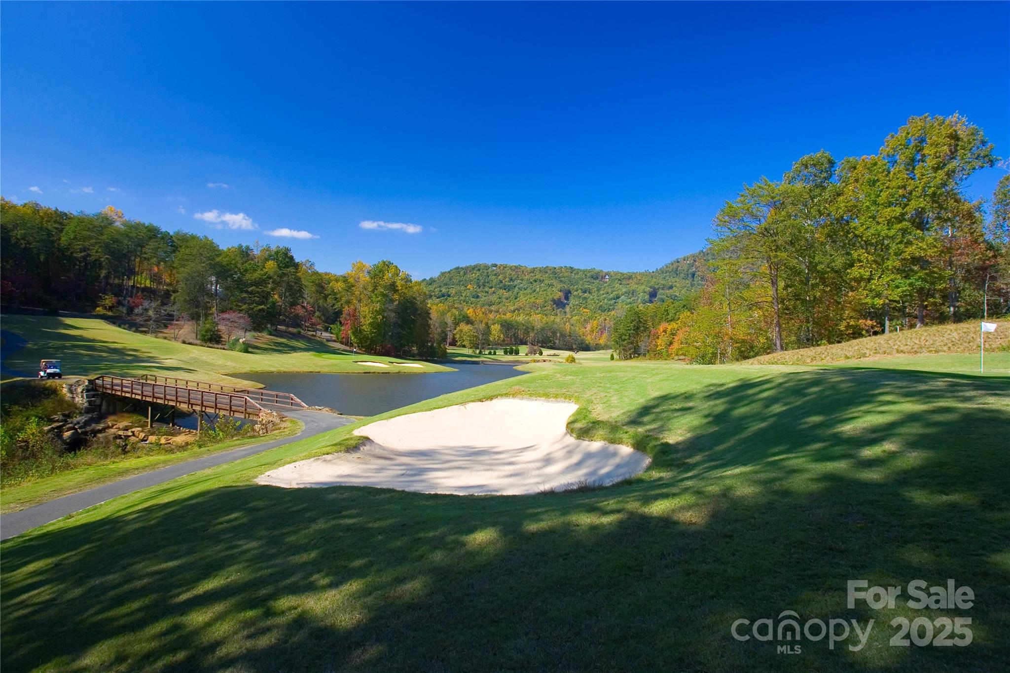 Lot 42 Palmer Place Lake Lure NC 28746