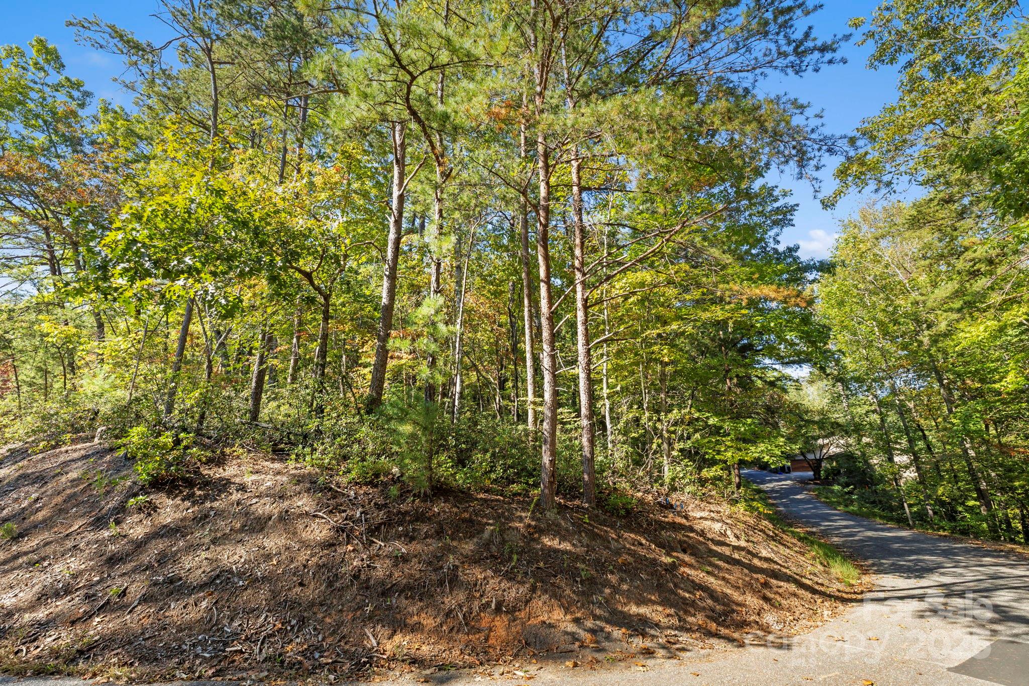 Lot 42 Palmer Place Lake Lure NC 28746