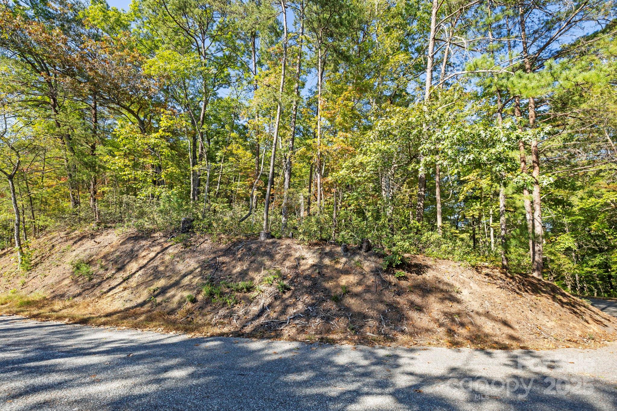 Lot 42 Palmer Place Lake Lure NC 28746