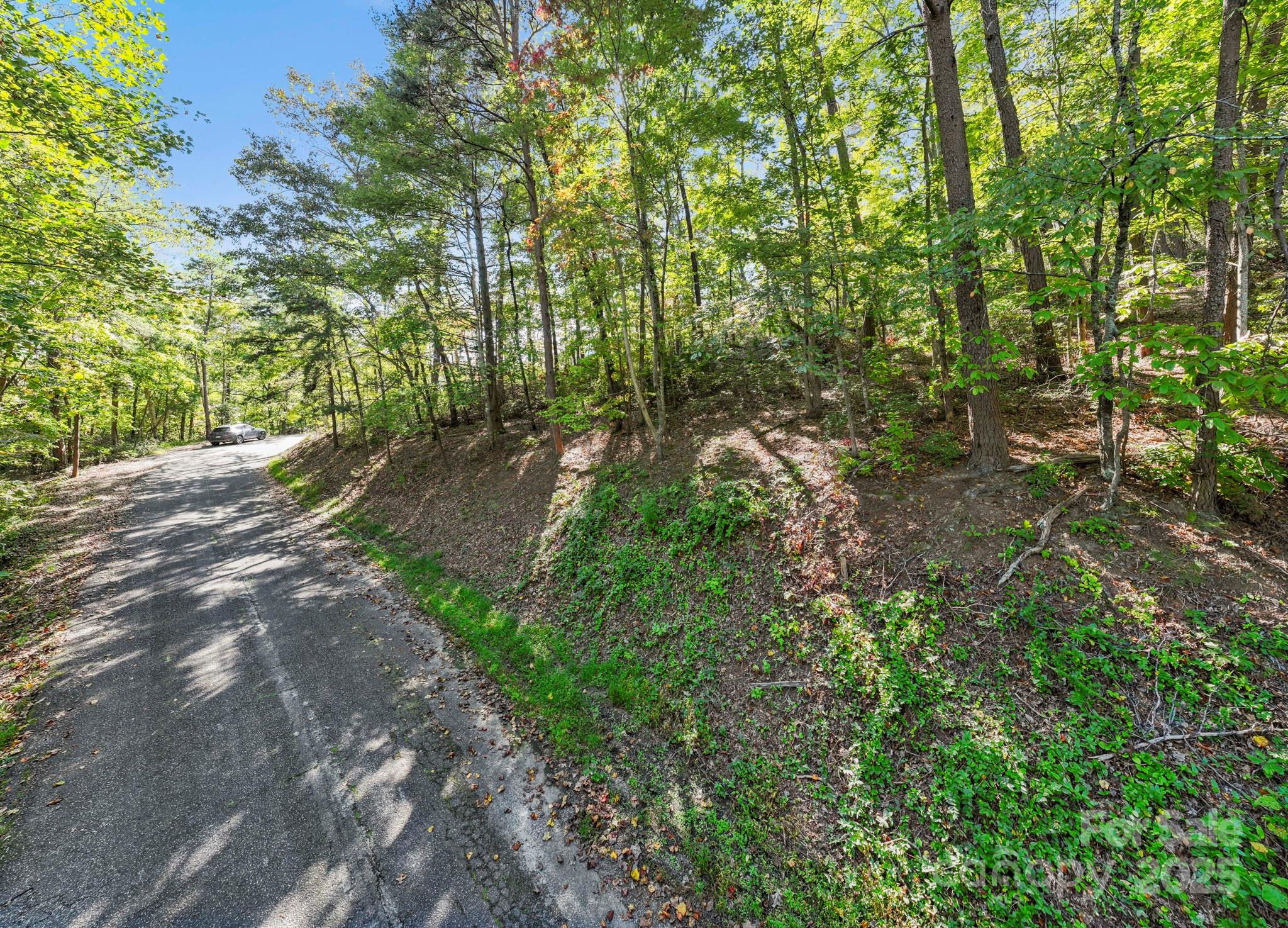 Lot 42 Palmer Place Lake Lure NC 28746