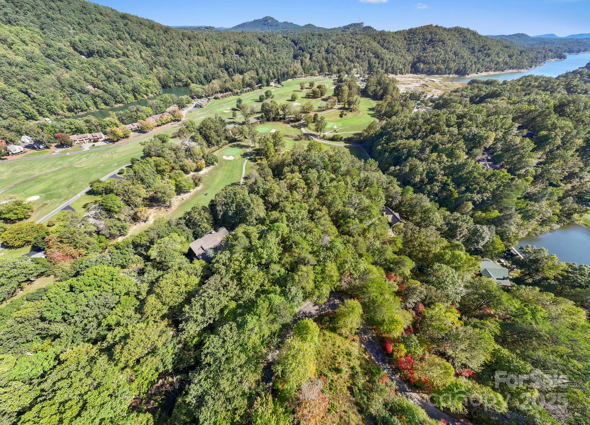 Lot 42 Palmer Place Lake Lure NC 28746