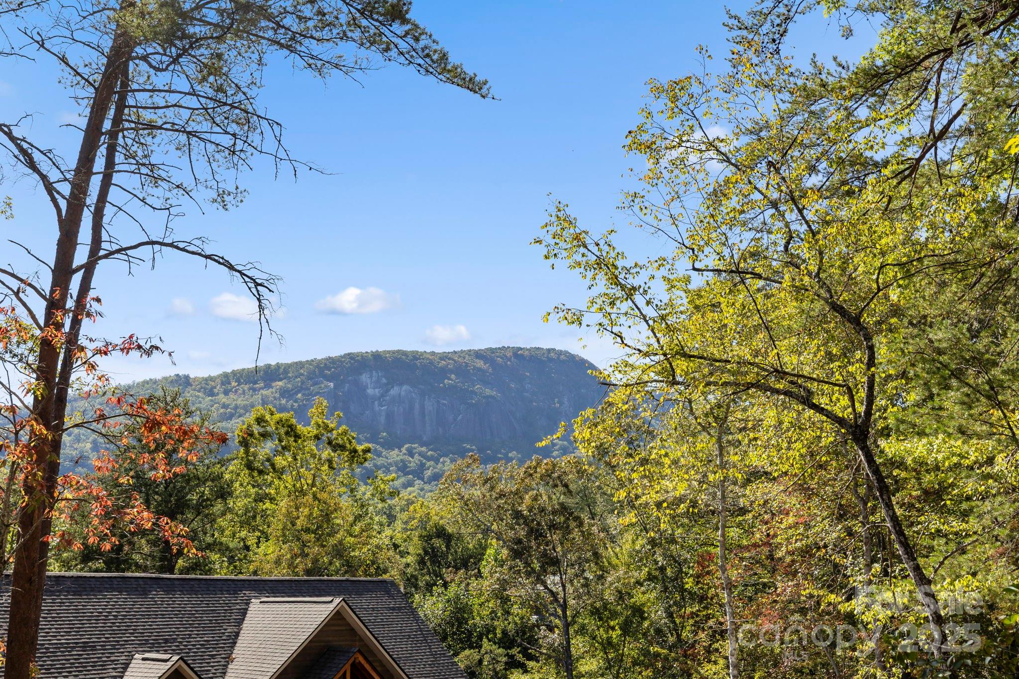 Lot 42 Palmer Place Lake Lure NC 28746