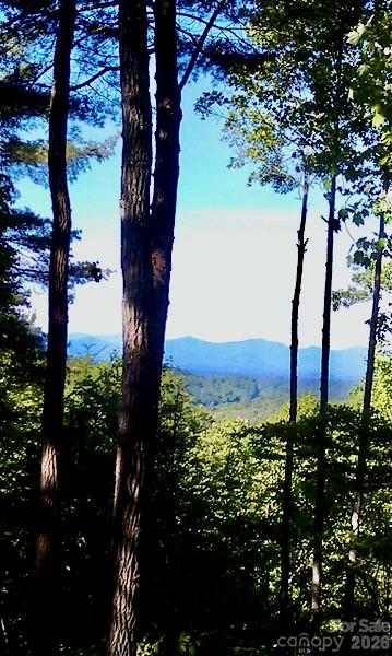 271 Amanda Drive Mars Hill NC 28754
