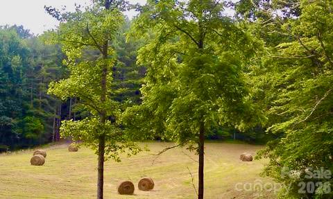 271 Amanda Drive Mars Hill NC 28754