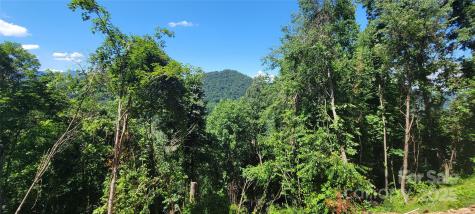 32 Destination Drive Waynesville NC 28786