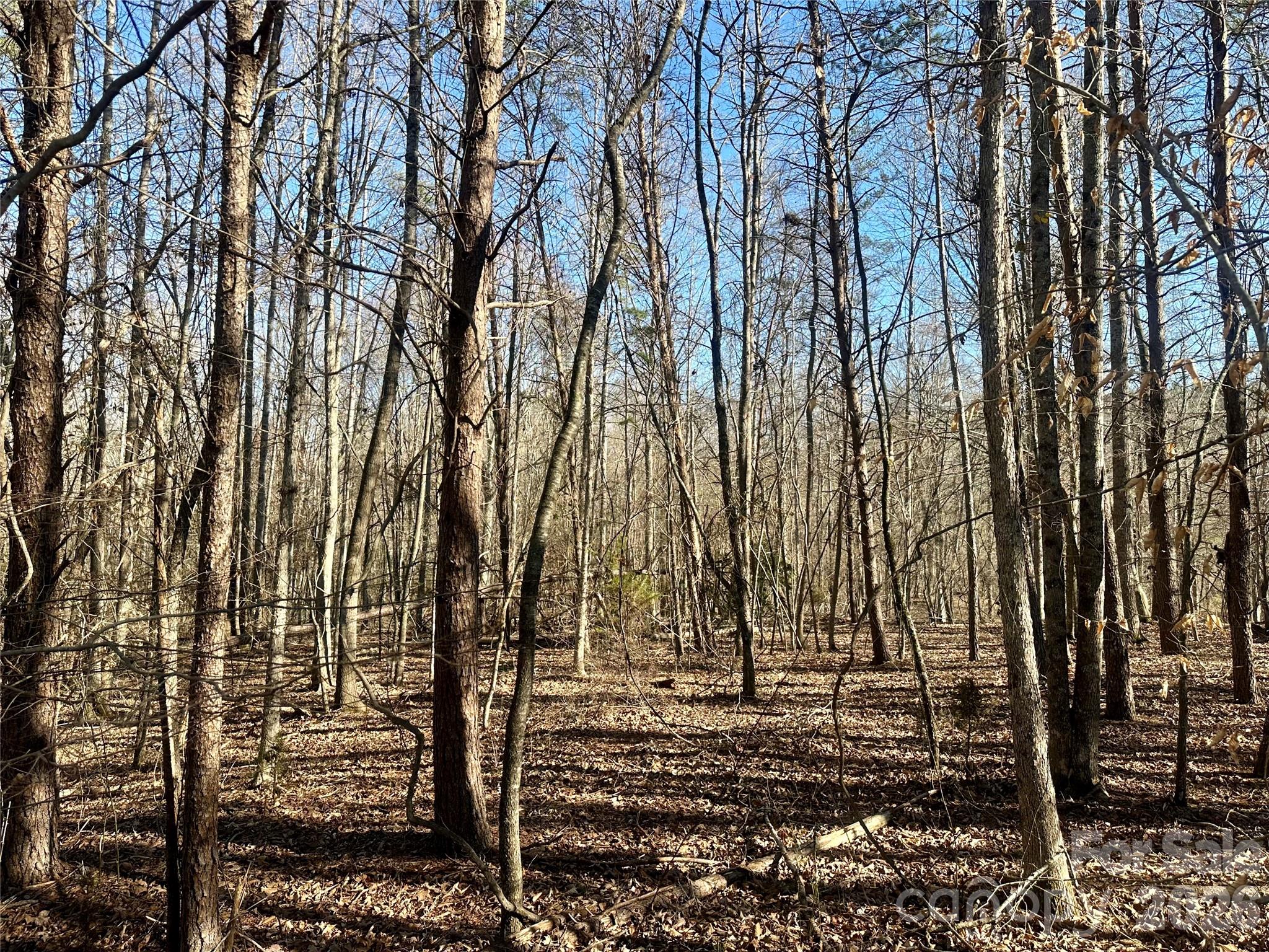 99999 River Crest Parkway Rutherfordton NC 28139