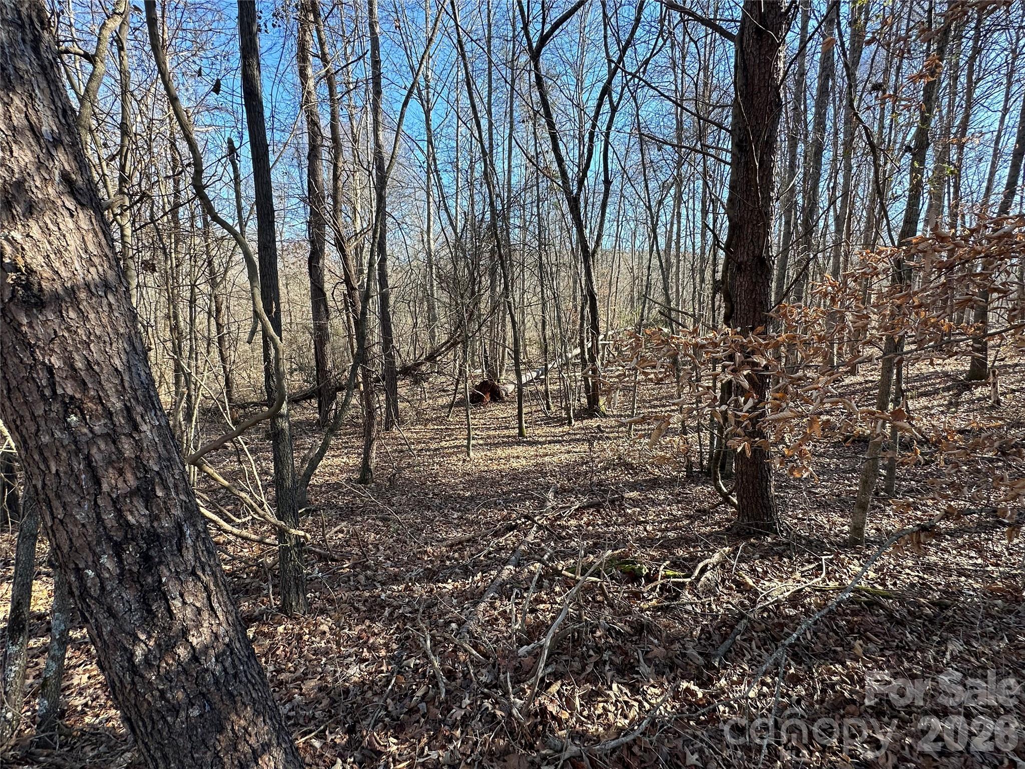 99999 River Crest Parkway Rutherfordton NC 28139