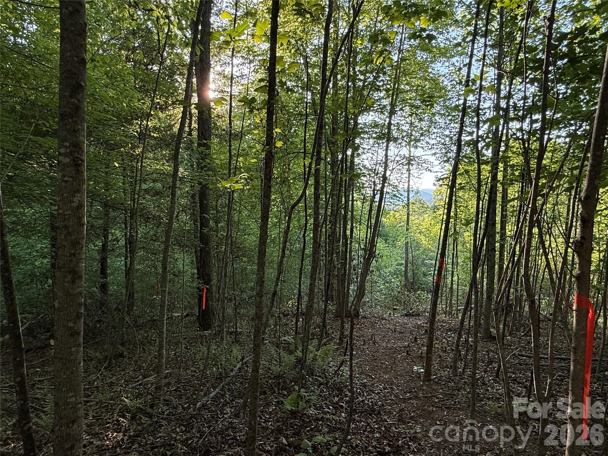 Lot # 7 West Legacy Drive Hendersonville NC 28739