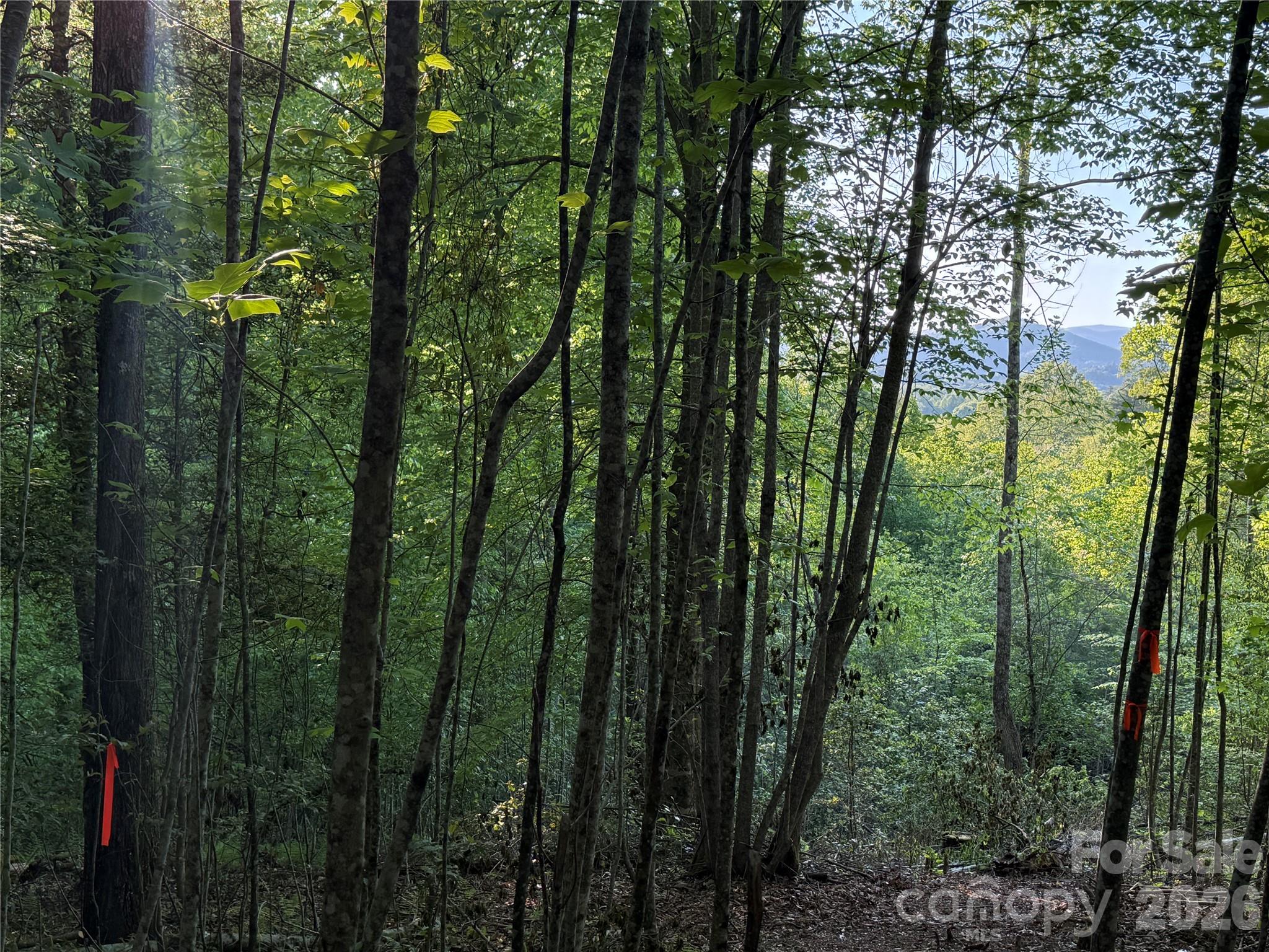 Lot # 7 West Legacy Drive Hendersonville NC 28739