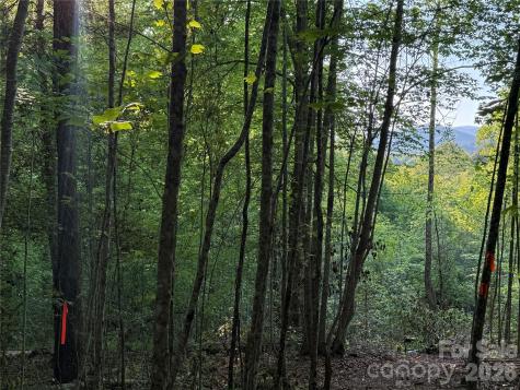 Lot # 7 West Legacy Drive Hendersonville NC 28739