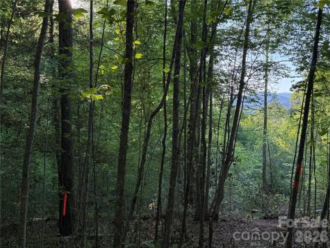 Lot # 7 West Legacy Drive Hendersonville NC 28739