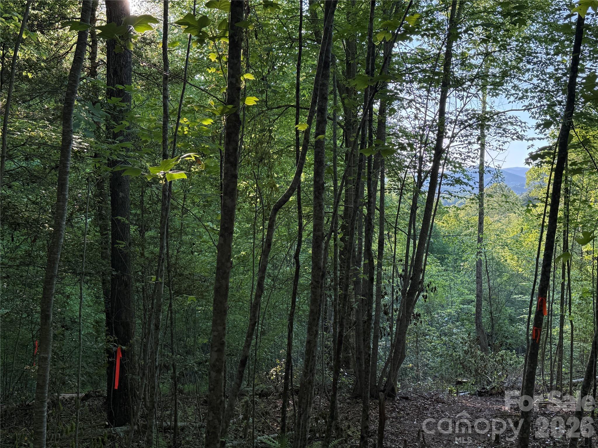 Lot # 7 West Legacy Drive Hendersonville NC 28739