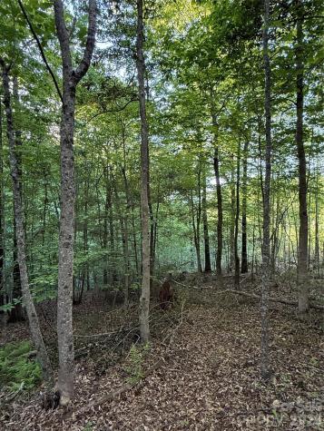 Lot # 7 West Legacy Drive Hendersonville NC 28739