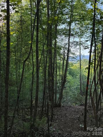 Lot # 7 West Legacy Drive Hendersonville NC 28739