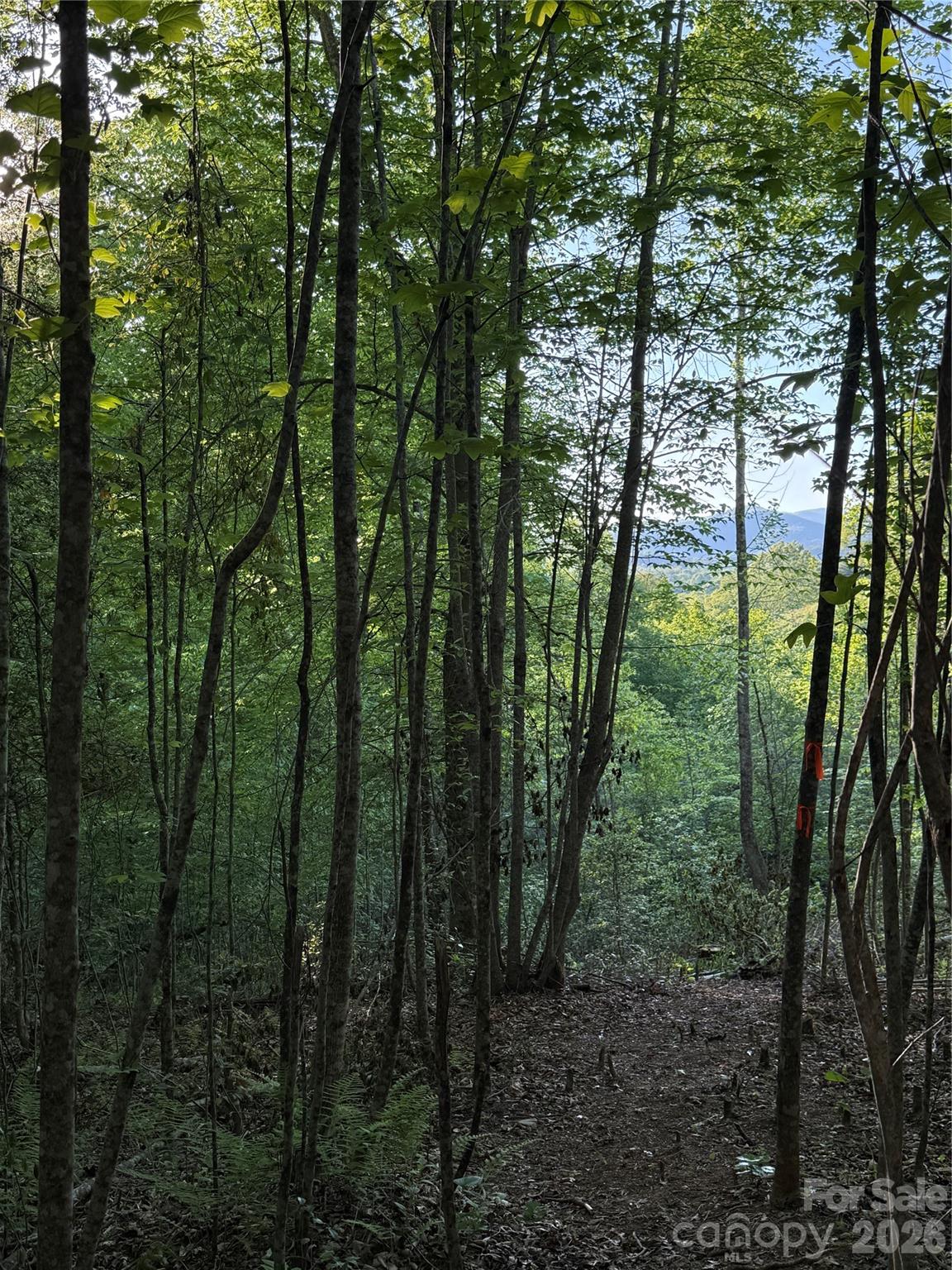 Lot # 7 West Legacy Drive Hendersonville NC 28739