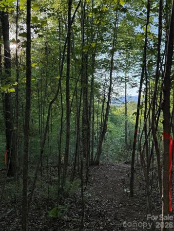 Lot # 7 West Legacy Drive Hendersonville NC 28739