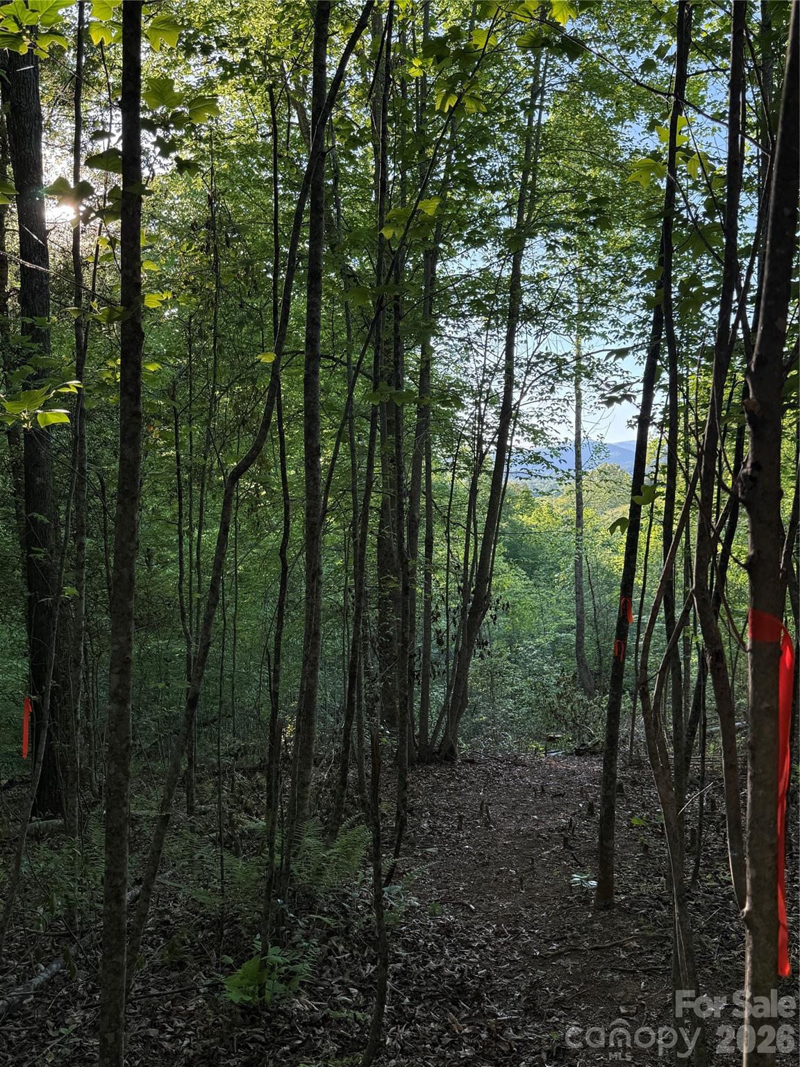 Lot # 7 West Legacy Drive Hendersonville NC 28739