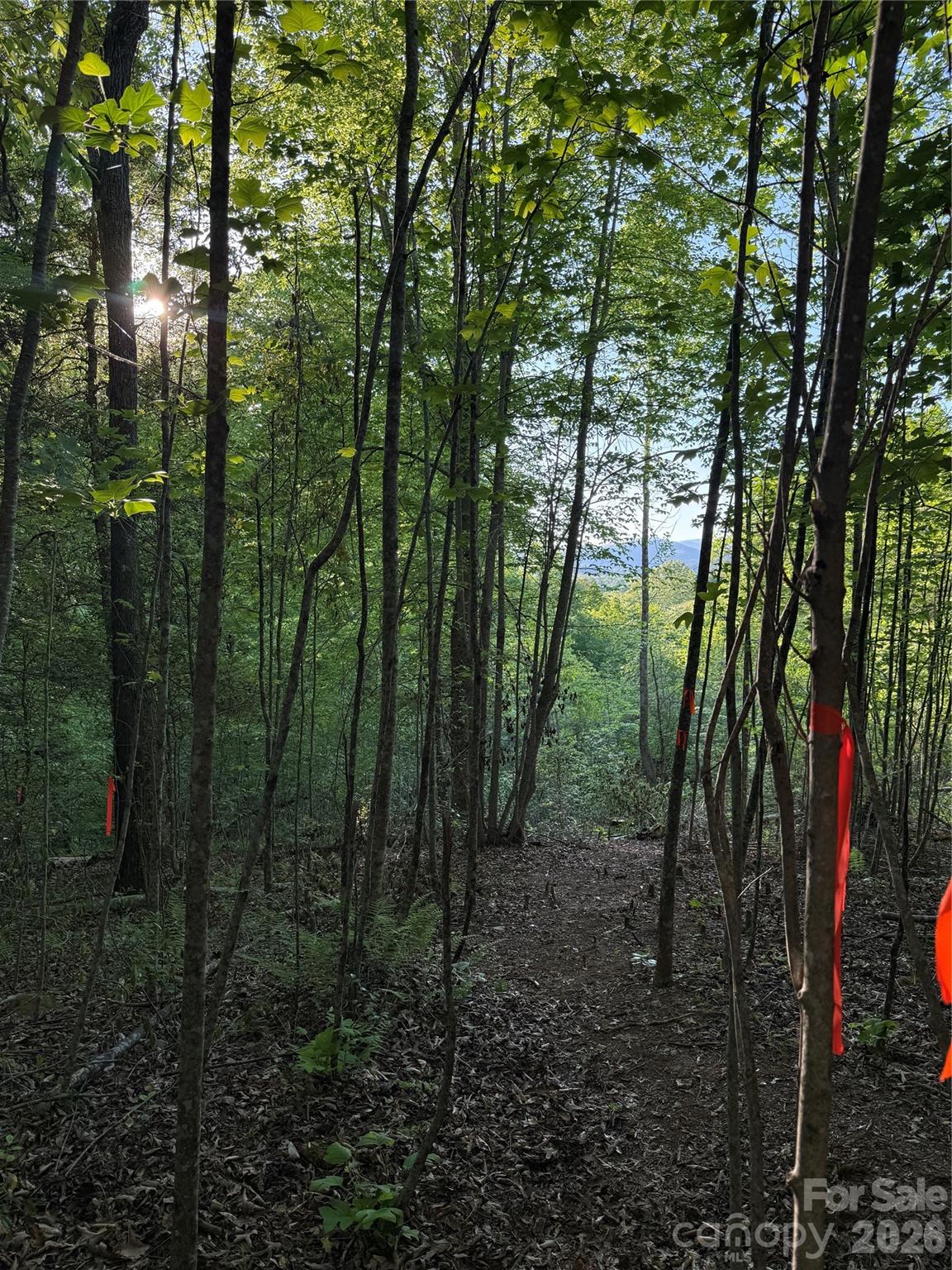 Lot # 7 West Legacy Drive Hendersonville NC 28739