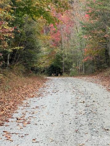 Lot # 7 West Legacy Drive Hendersonville NC 28739