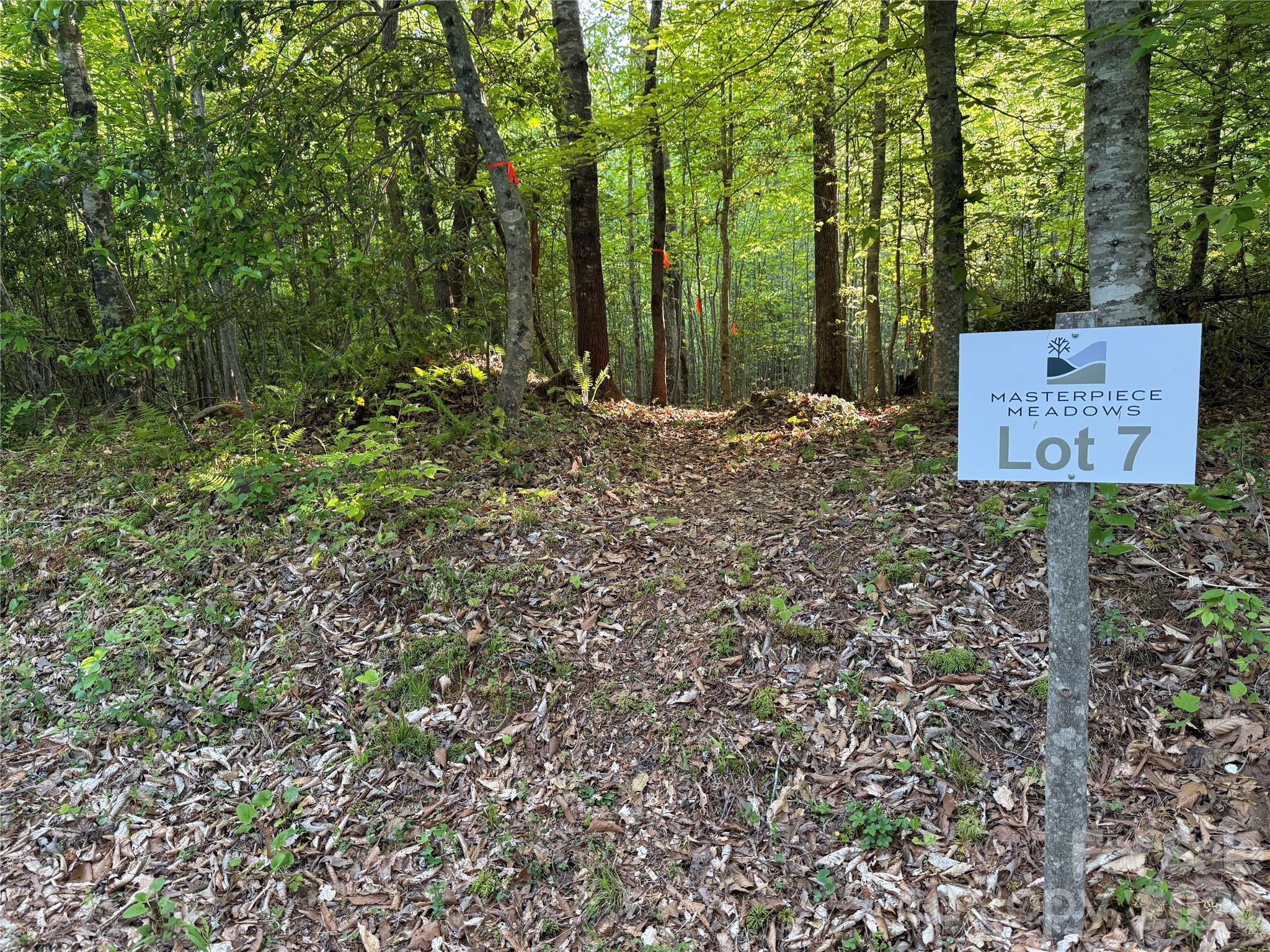 Lot # 7 West Legacy Drive Hendersonville NC 28739