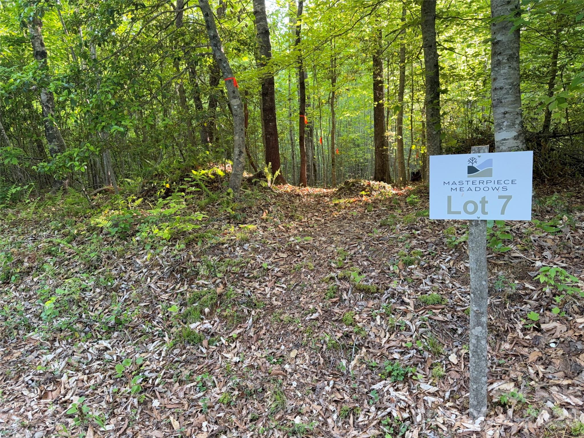 Lot # 7 West Legacy Drive Hendersonville NC 28739
