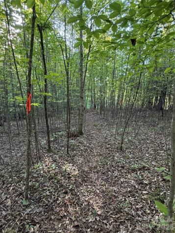 Lot # 7 West Legacy Drive Hendersonville NC 28739