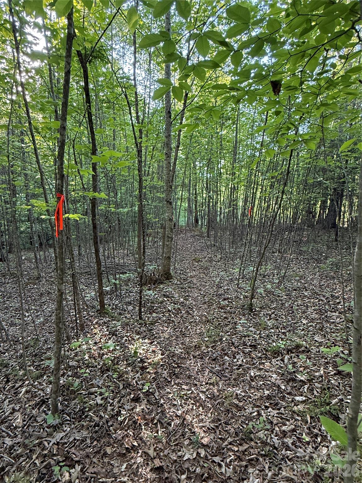 Lot # 7 West Legacy Drive Hendersonville NC 28739