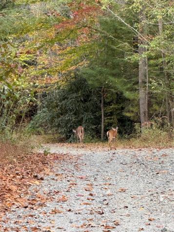 Lot # 7 West Legacy Drive Hendersonville NC 28739