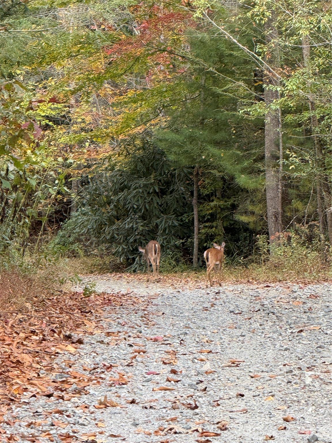 Lot # 7 West Legacy Drive Hendersonville NC 28739