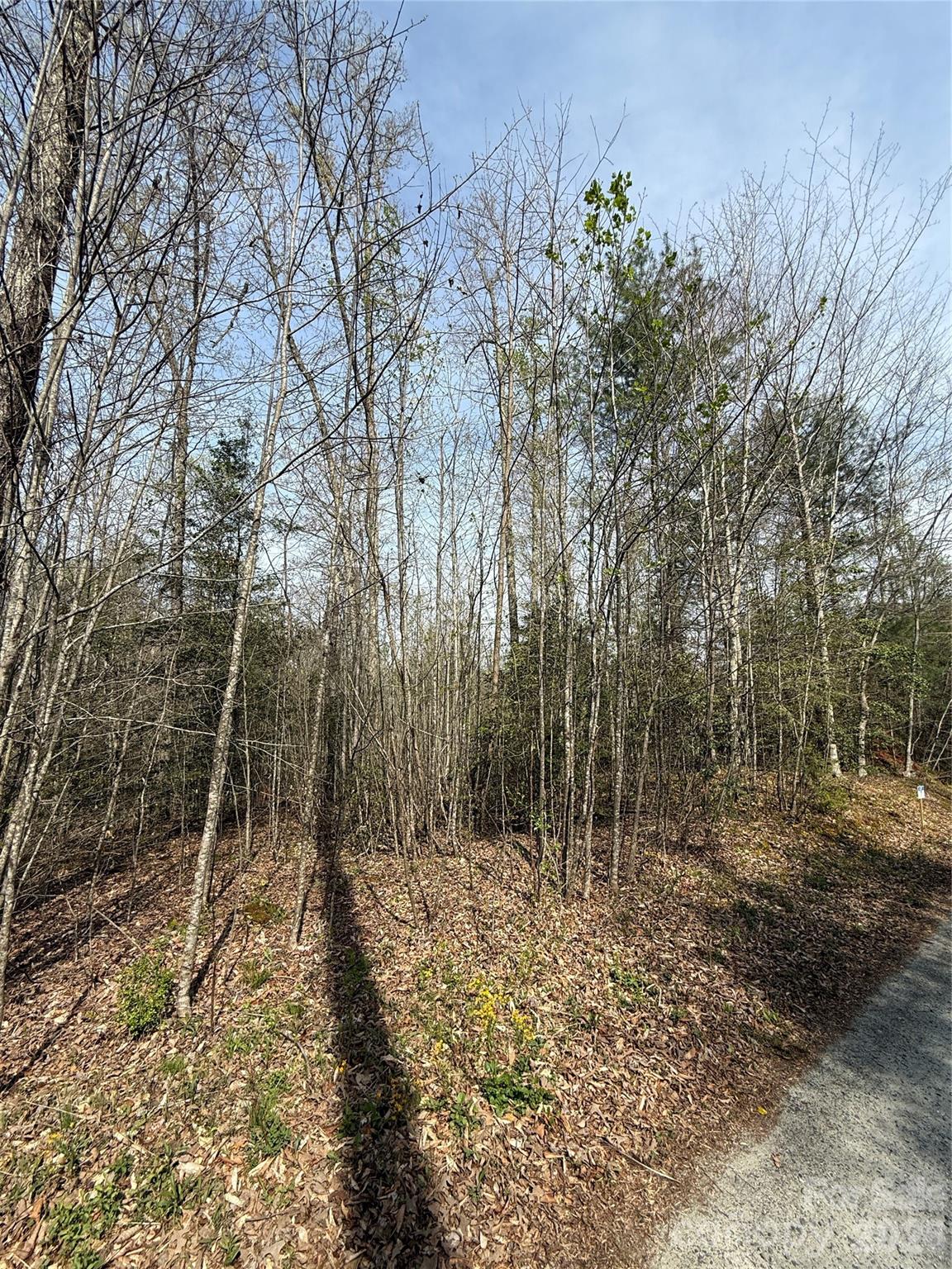 Lot # 7 West Legacy Drive Hendersonville NC 28739