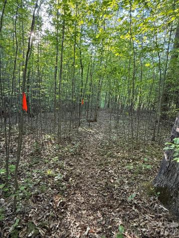 Lot # 7 West Legacy Drive Hendersonville NC 28739