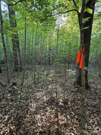 Lot # 7 West Legacy Drive Hendersonville NC 28739