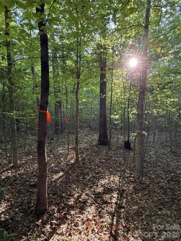 Lot # 7 West Legacy Drive Hendersonville NC 28739