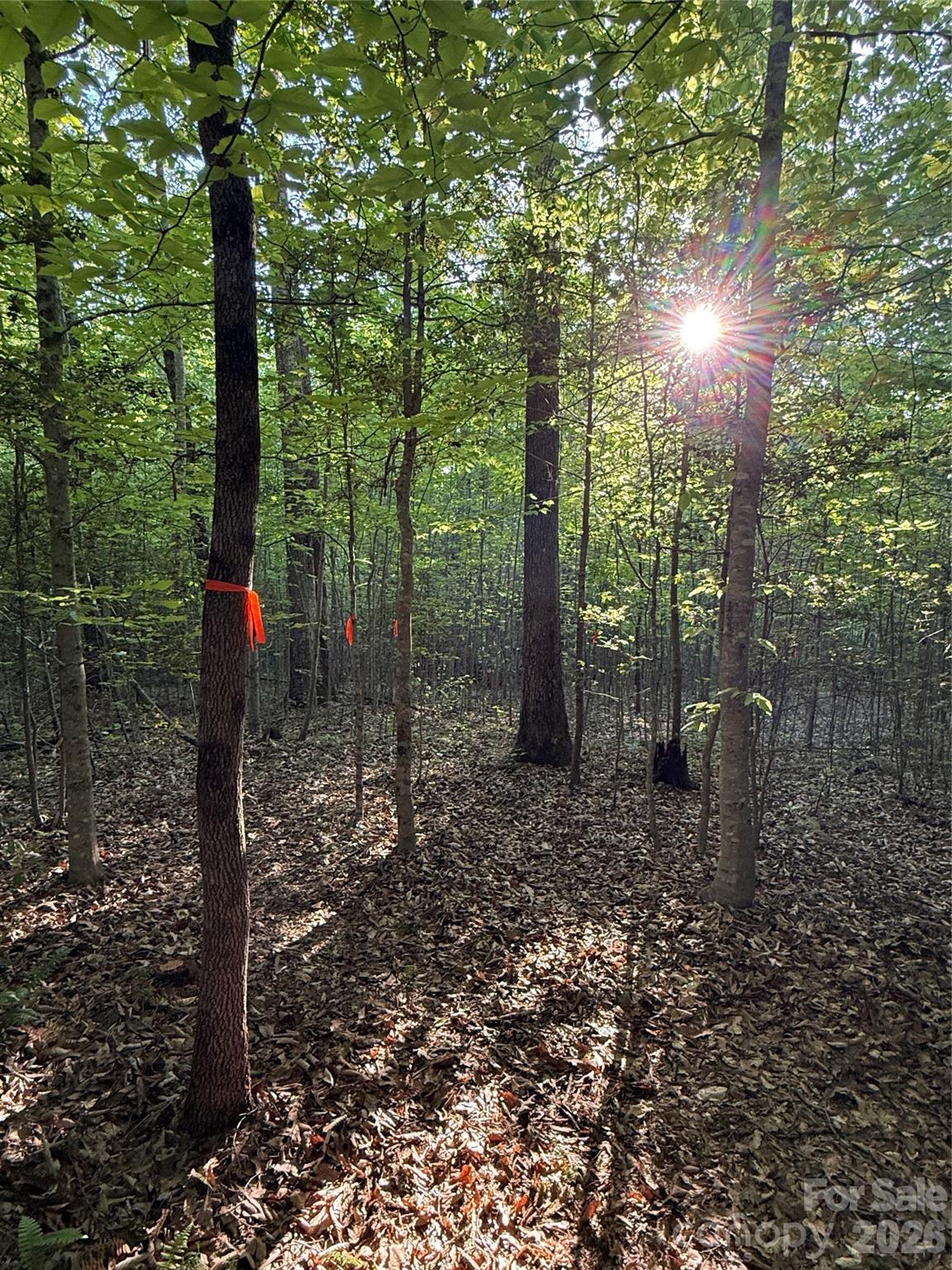 Lot # 7 West Legacy Drive Hendersonville NC 28739