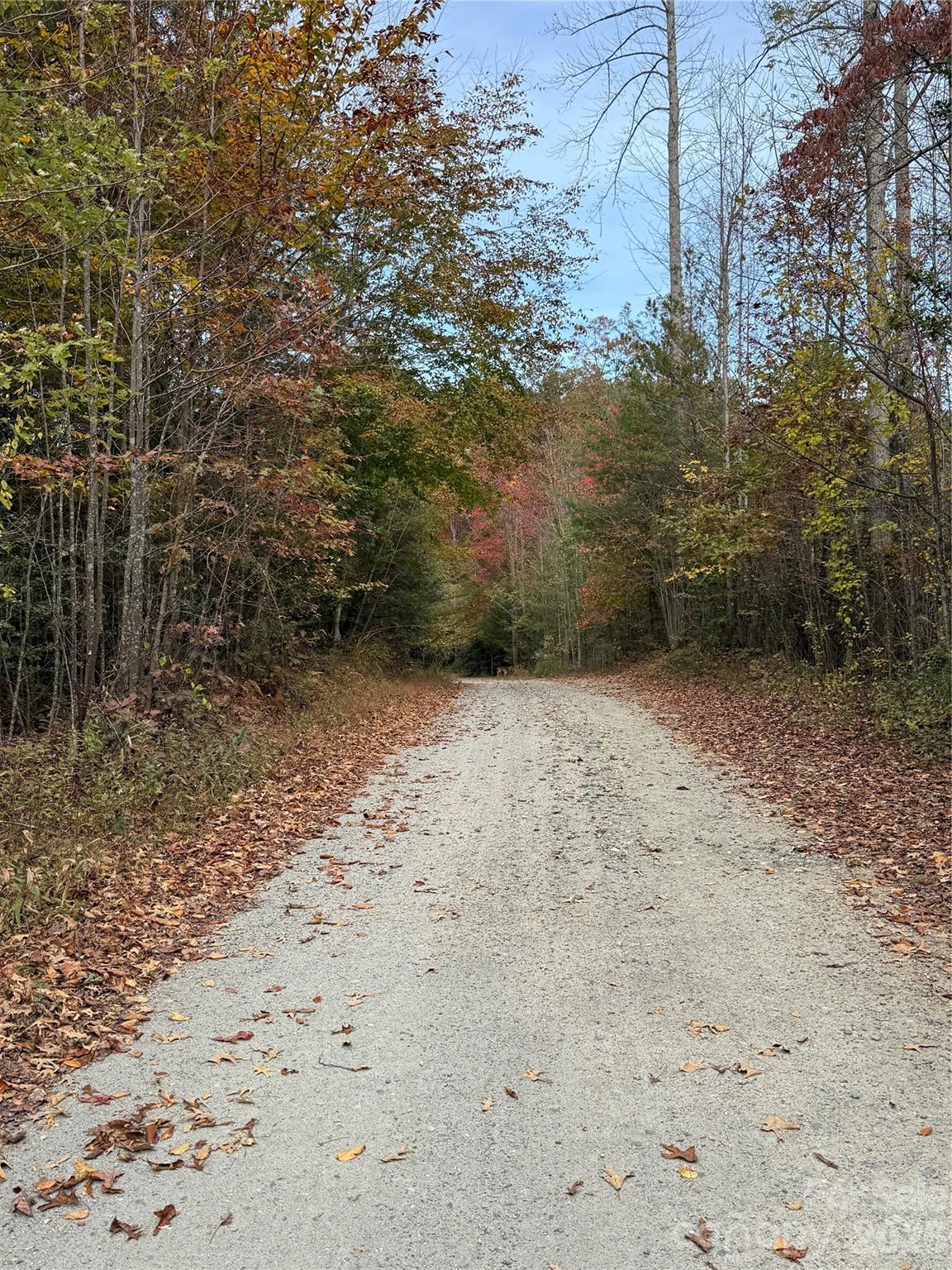 Lot # 7 West Legacy Drive Hendersonville NC 28739