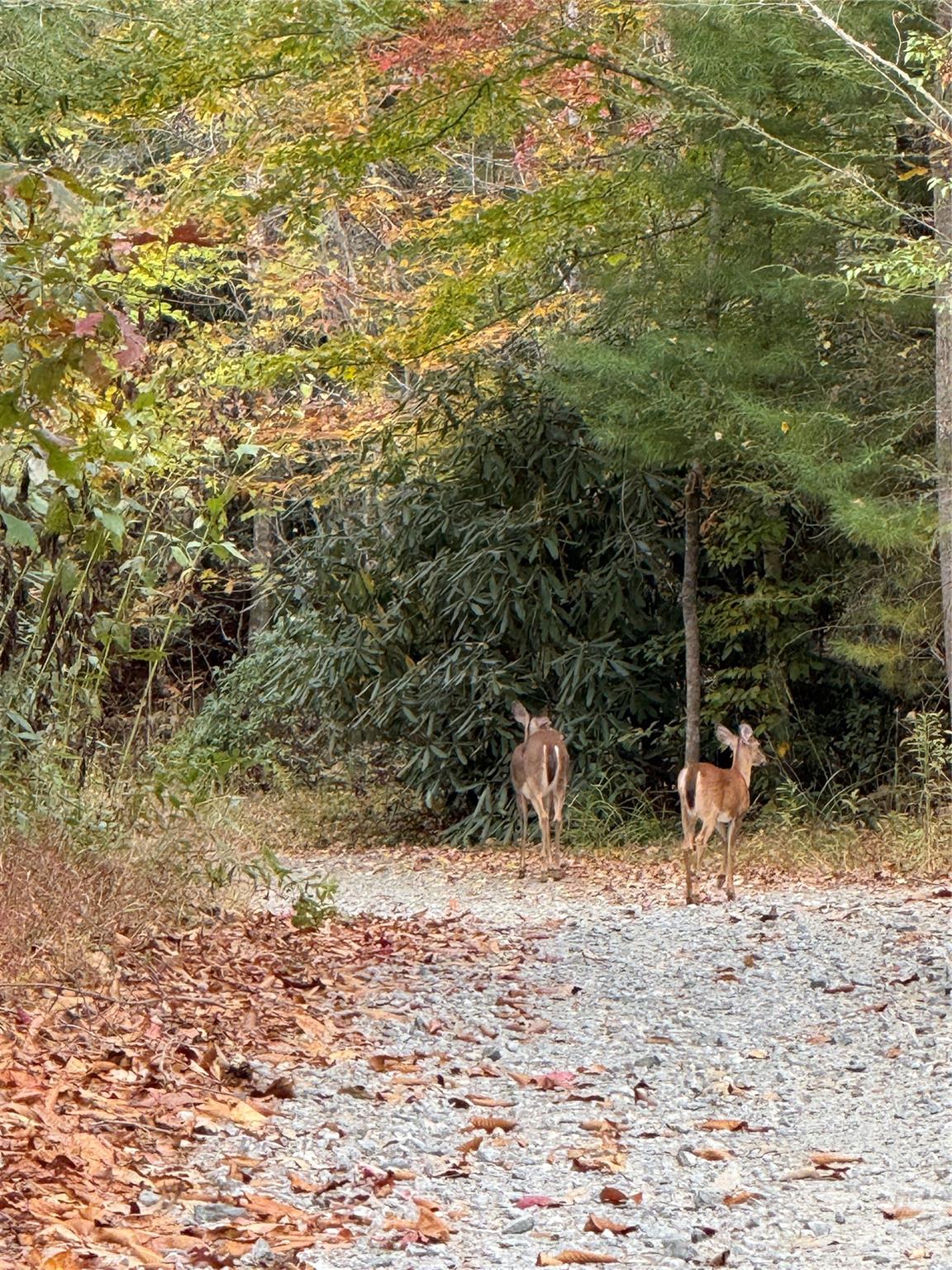 Lot # 7 West Legacy Drive Hendersonville NC 28739